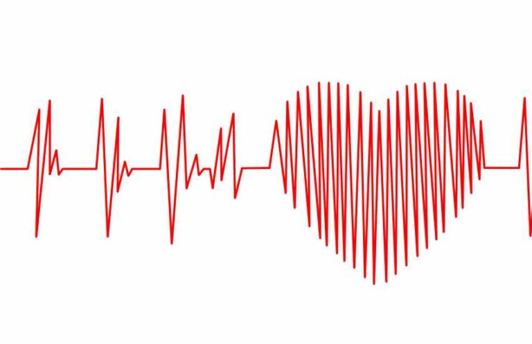 Understanding Your Heart Rate