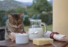 Who’s Afraid of The Big Bad Dairy? Big-Bad-Dairy