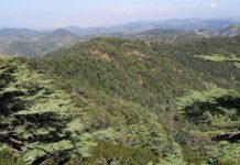 Enjoy the Green Heart of Cyprus for only 3 Euros Troodos