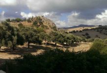 Roundabout walk to Sarama village Sarama Village