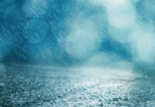 Heavy Rain, Thunderstorms and Near Gale Force Winds, Weather Warning Issued.