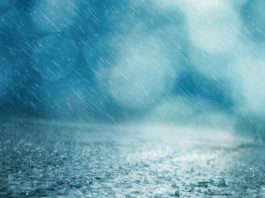 Heavy Rain, Thunderstorms and Near Gale Force Winds, Weather Warning Issued.
