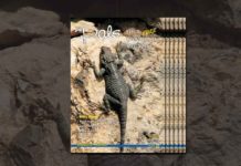 Limassol Pals March 2019 Limassol-Pals-March-2019-Edition