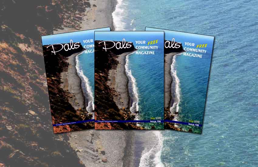 PALS MAGAZINE JULY 2020