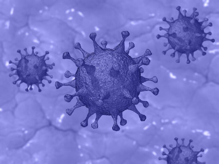 Coronavirus: ten cases announced on Monday (Update 2)