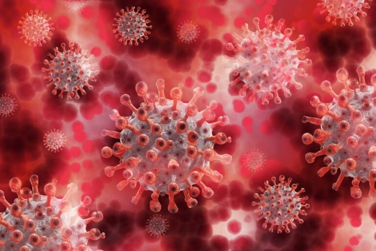 Coronavirus: three new cases announced on Thursday (Updated)