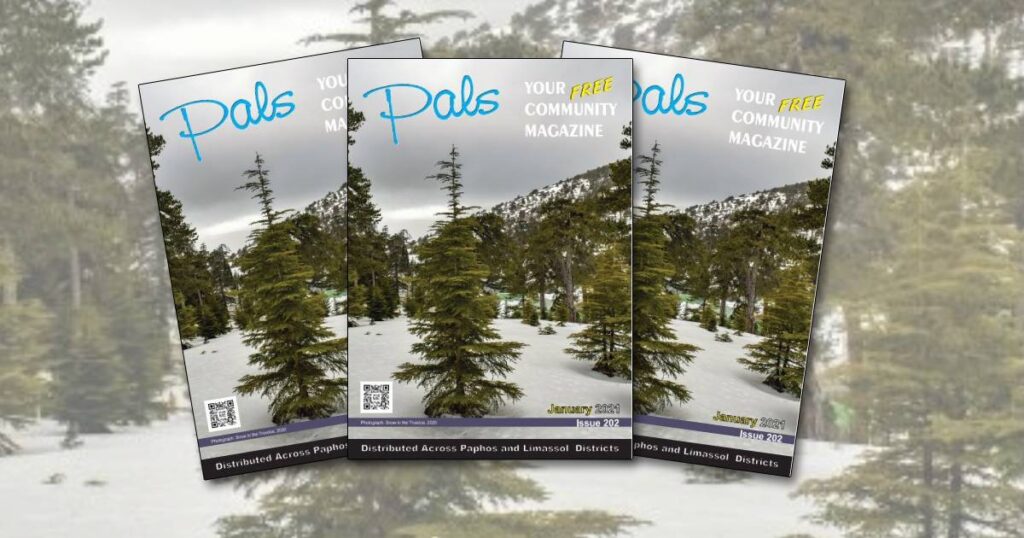 Pals Magazine January 2021 Issue