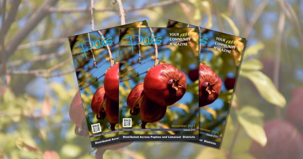 Pals Magazine November 2021 Issue