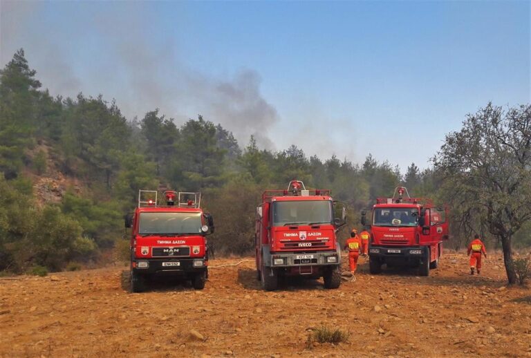 Arrest after fires start in Pyrgos