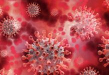 Additional Measures Announced on 2nd December