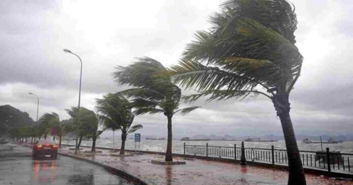 windy