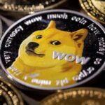 yearender-year-of-the-doge