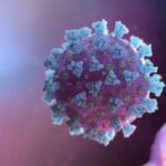 2021-10-28T122538Z_1988993206_RC20JQ99ER0V_RTRMADP_3_HEALTH-CORONAVIRUS-OPTIMUS-PHARMA-MERCK-1-1024×688-1