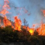 fire-2