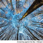 Screaming-against-the-Sky-C2A9Sergio-Savi-Italy-1024×729-1