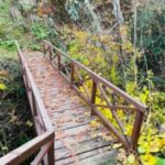 feature-paul-Gourri-is-a-popular-place-for-countryside-walks-225×300-1