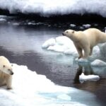 comment-dyer-Melting-Arctic-ice-The-real-threat-is-from-the-unstoppable-natural-E28098feedbacksE28099-triggered-by-the-warming-that-we-have-caused