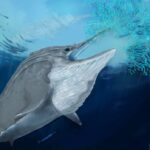 reuters-fossils-1024×697-1