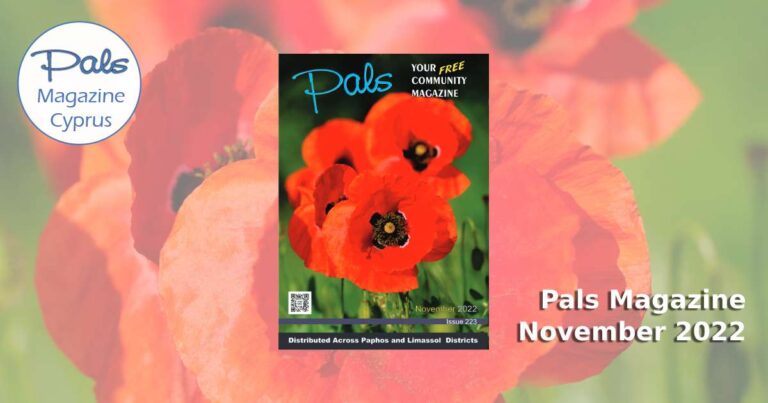 Pals Magazine November 2022 Issue