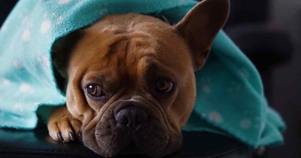 Preparing For Winter Appeal