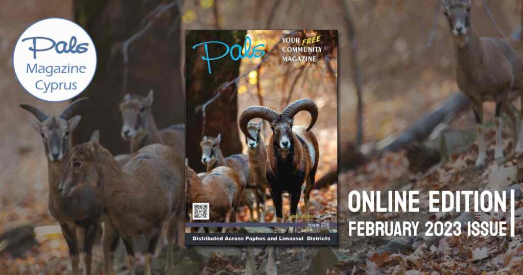 Pals Magazine February 2023