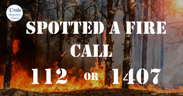 Forest Fire Forest Fire