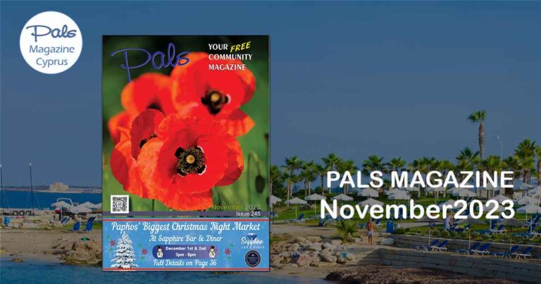 Pals Magazine November 2023 Issue