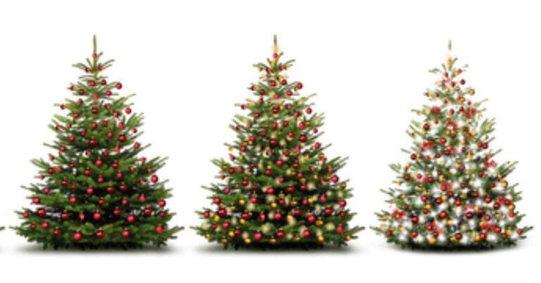 Christmas Tree Trivia