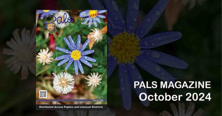 Pals Magazine October 2024 Issue