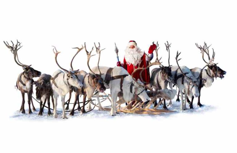 We All Remember Rudolph, But Can You Name Santa’s Other 8 Reindeer?