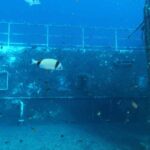 Zenobia Ship Wreck 2