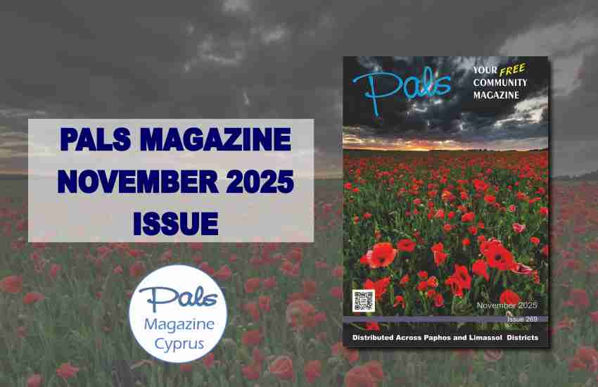 Pals Magazine November 2025 Issue