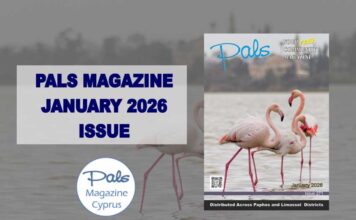 Pals Magazine January 2026 Issue