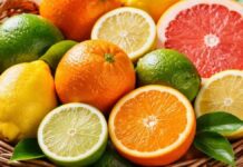 Inside the Spice House – with Citrus Fruits! citrus fruits