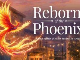 reborn of the phoenix